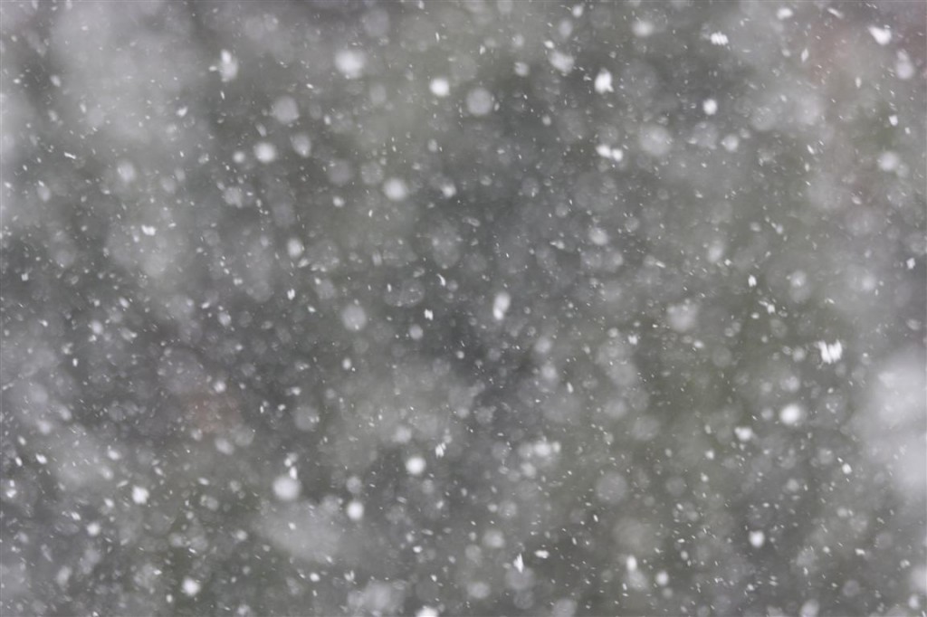 A photo of a snow squall