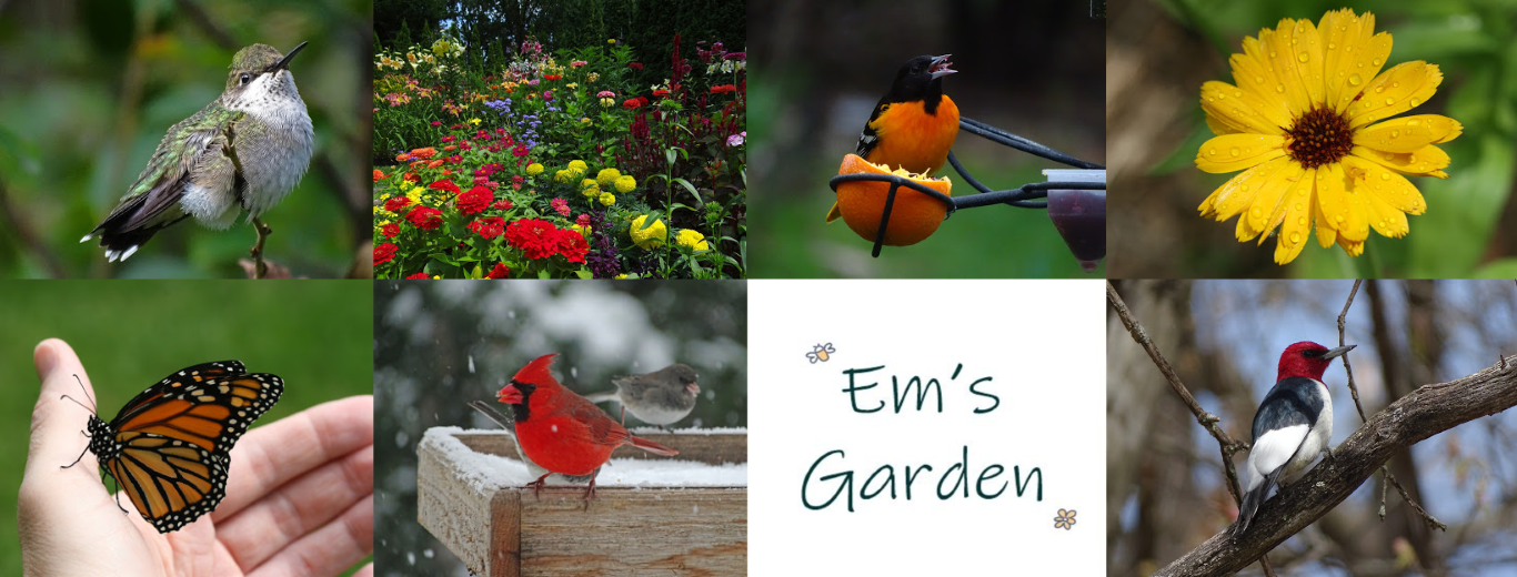 Em's Garden
