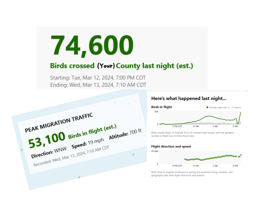 a graphic with examples of data from the BirdCast Migration Dashboard